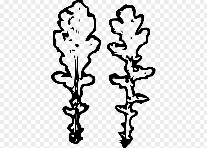 Leaf Draw Plant Stem White Flower Clip Art PNG