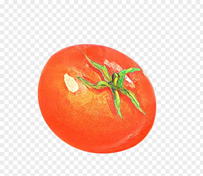 Nightshade Family Cherry Tomatoes Tomato Cartoon PNG
