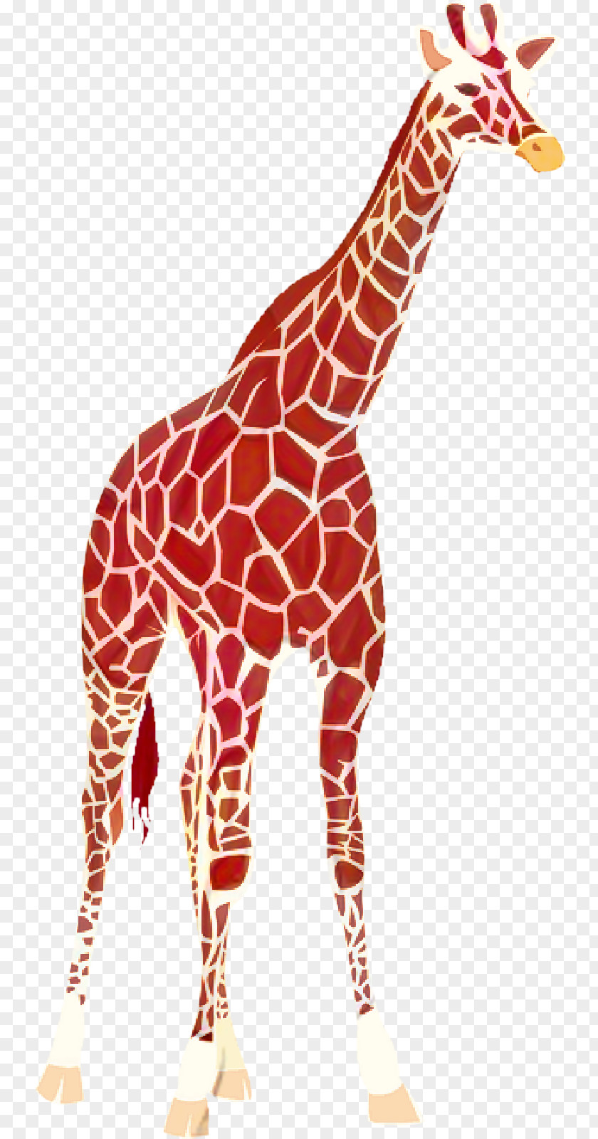 Tail Fawn Giraffe Cartoon PNG