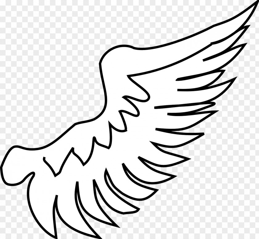 Wings Angel Wing Symbol PNG