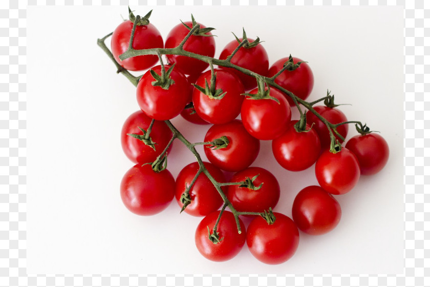 Cherry Bush Tomato Variety Barbados PNG