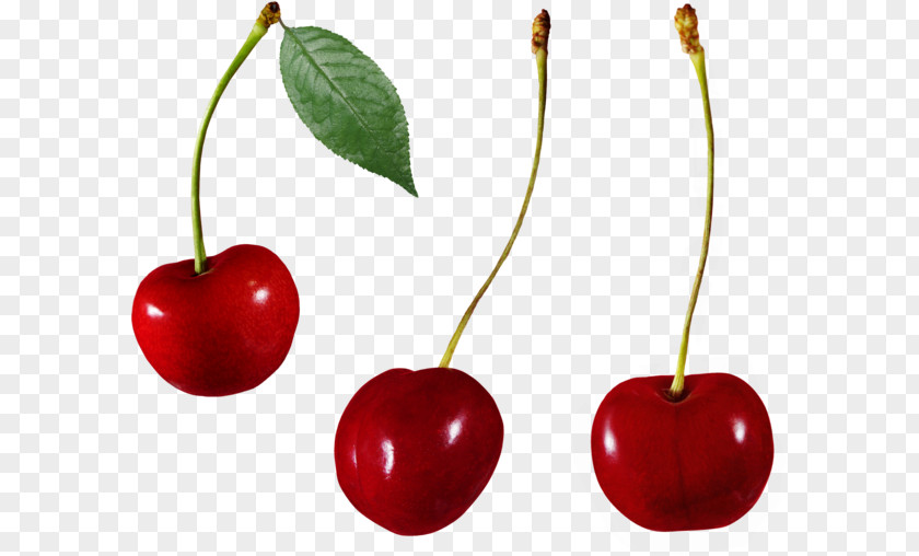 Cherry Sweet Malpighia Glabra Cerasus Auglis PNG