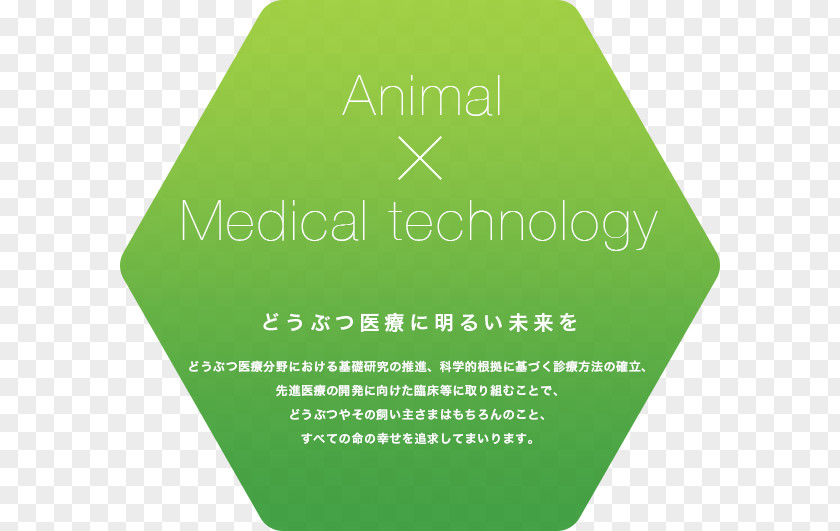 Common Livestock Health Technology Care Anicom Medicine Pet PNG