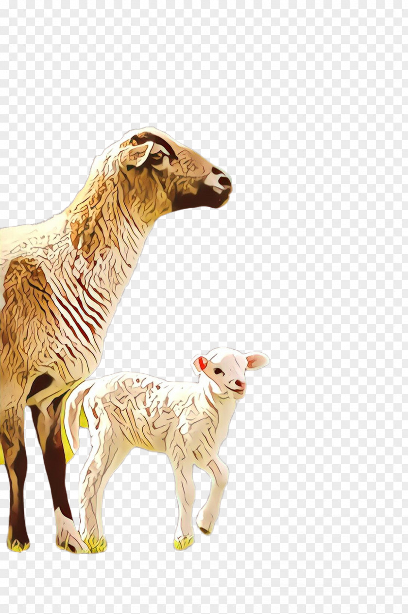 Fawn Goats Sheep Animal Figure Livestock Cow-goat Family PNG