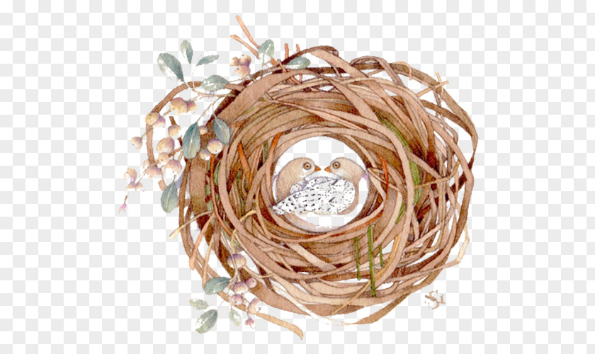 Hand-painted Bird's Nest Bird Watercolor Painting PNG
