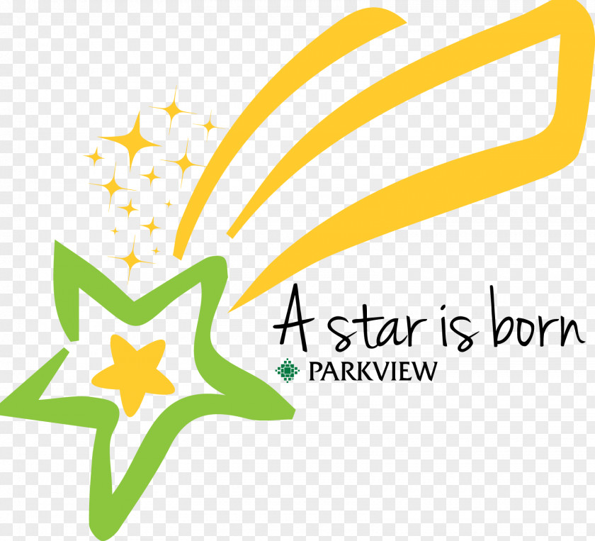 Star A Is Born Logo Childbirth PNG