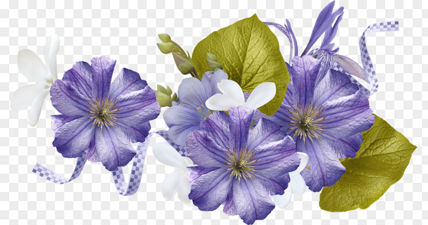 Violet Flower Art PNG