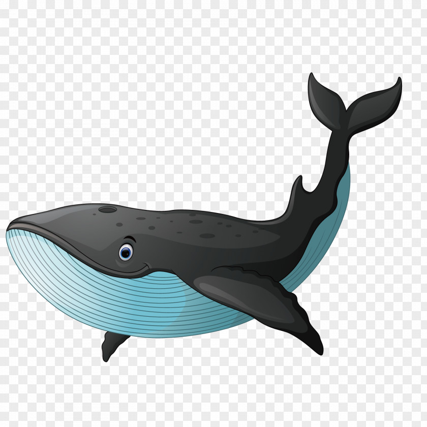 Black Whale PNG