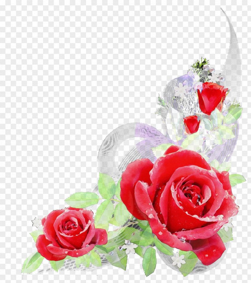 Garden Roses PNG