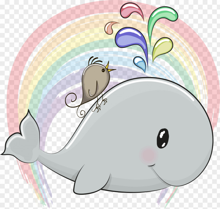Vector Whales And Birds Cartoon Royalty-free Drawing Illustration PNG