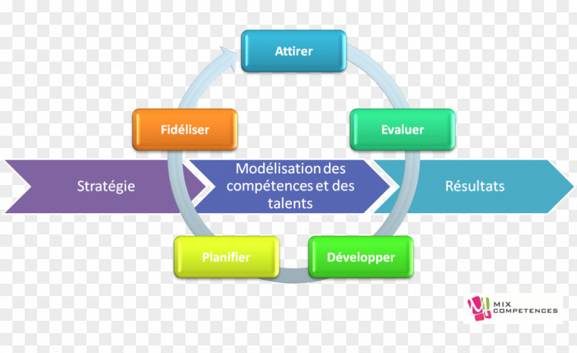 Design Brand Organization Diagram PNG