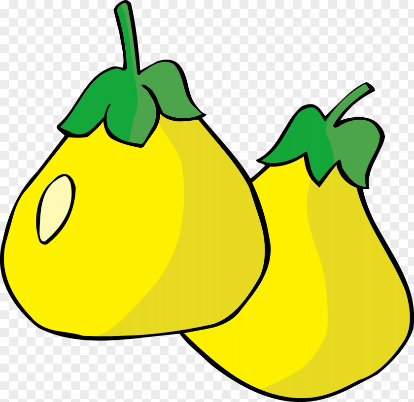 Fragrant Pear Vector Material Fruit PNG