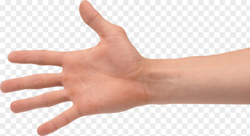 Hands , Hand Image Free PNG