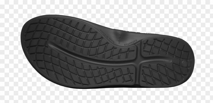 Sandal Slipper Footwear Sports Shoes PNG