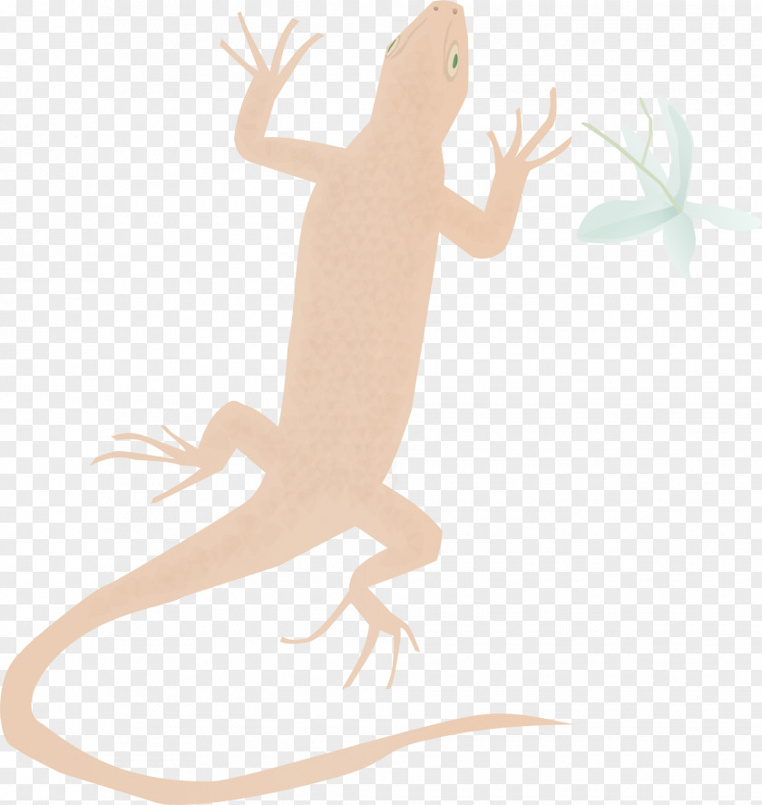Amphibian Reptile Cartoon Character PNG