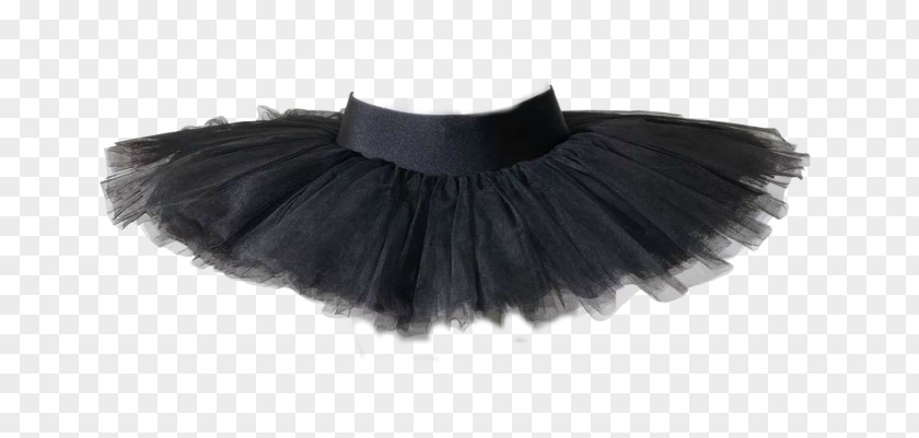 Ballet Skirt Tutu Dancer PNG