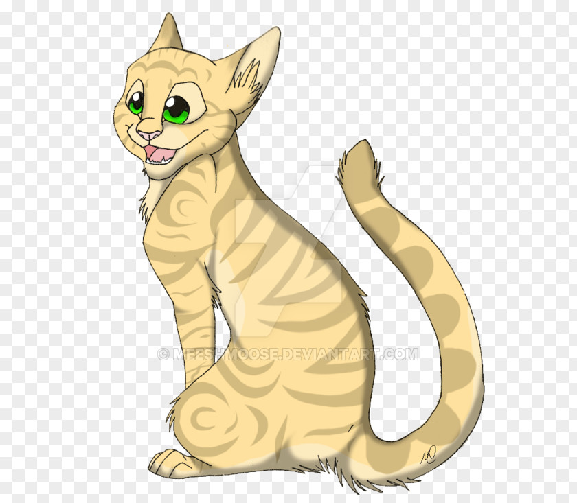 Kitten Whiskers Cat Sandstorm Warriors PNG