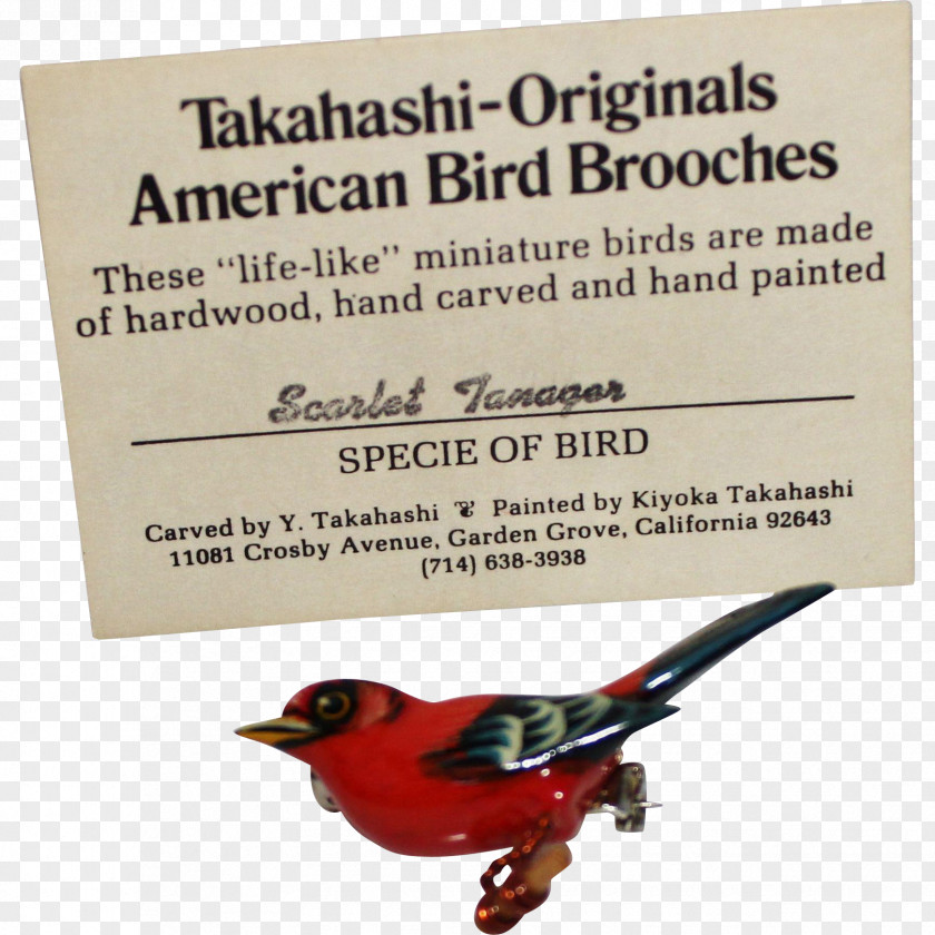 Bird Advertising PNG