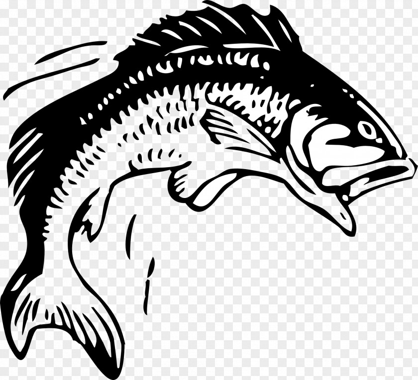 Black Fish Cliparts Free Content Clip Art PNG