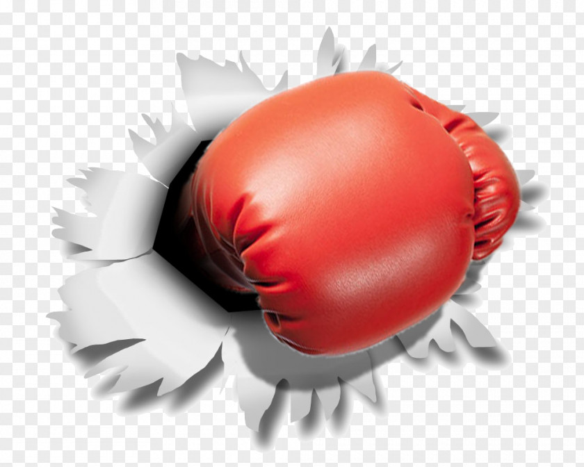 Boxing Gloves Glove Punching & Training Bags PNG