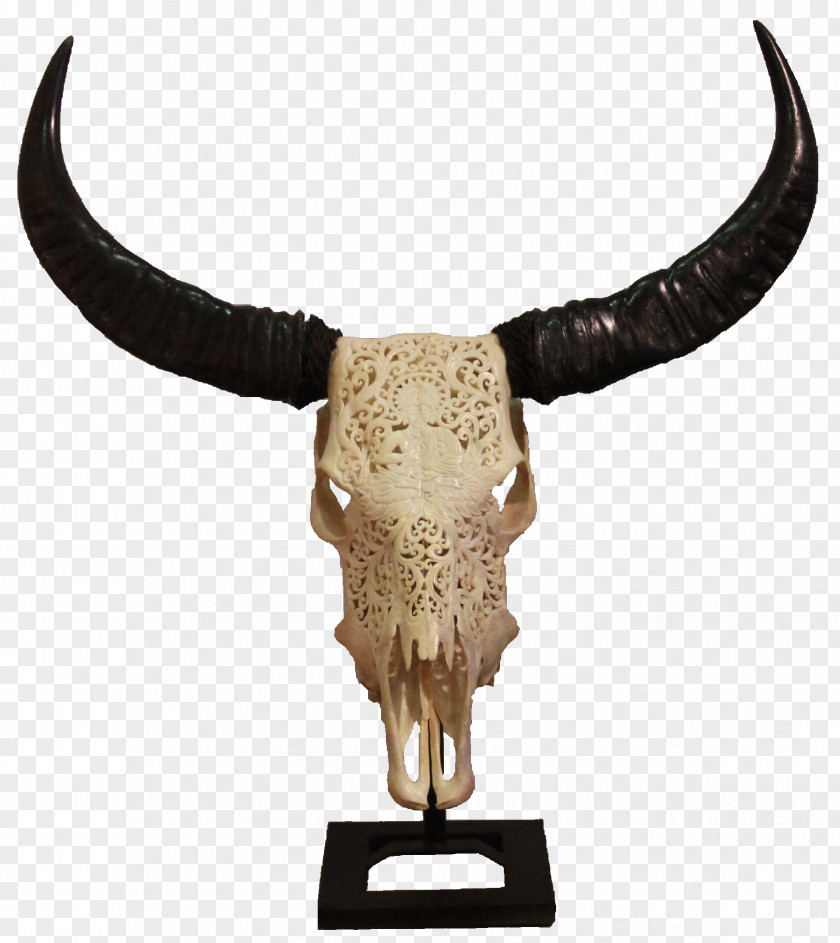 Buffalo Head White Table Water Horn Display Case PNG