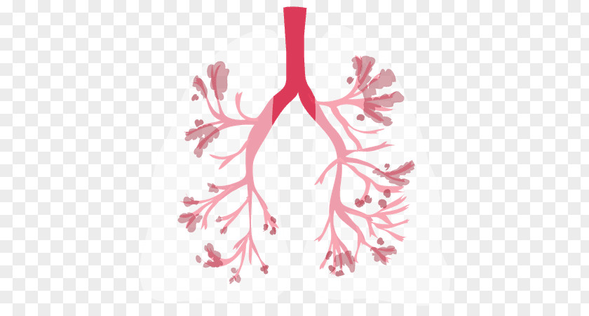 Chronic Obstructive Pulmonary Disease Bronchitis Health Lung Irritable Bowel Syndrome PNG