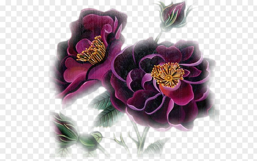 Flower Image Design Adobe Photoshop PNG