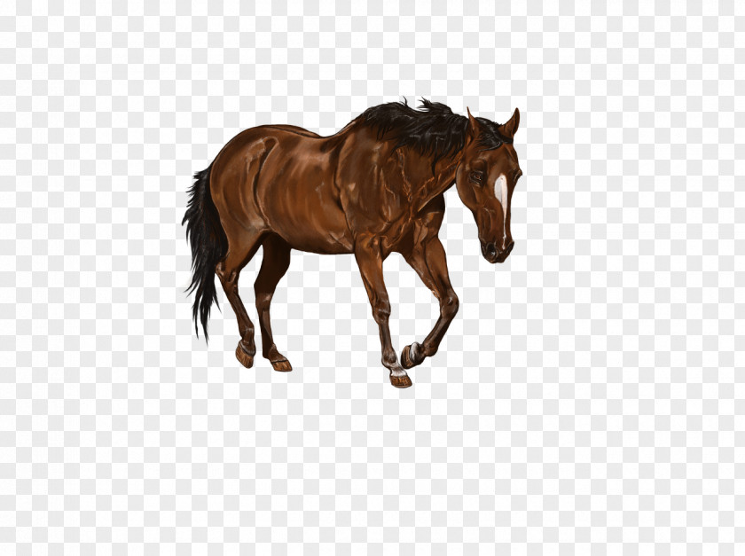 Horse Digital Art Image Painting PNG