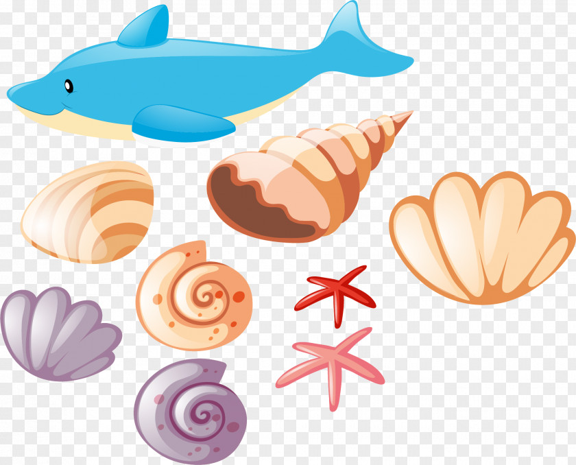 Lovely Blue Dolphin Beach Euclidean Vector Illustration PNG