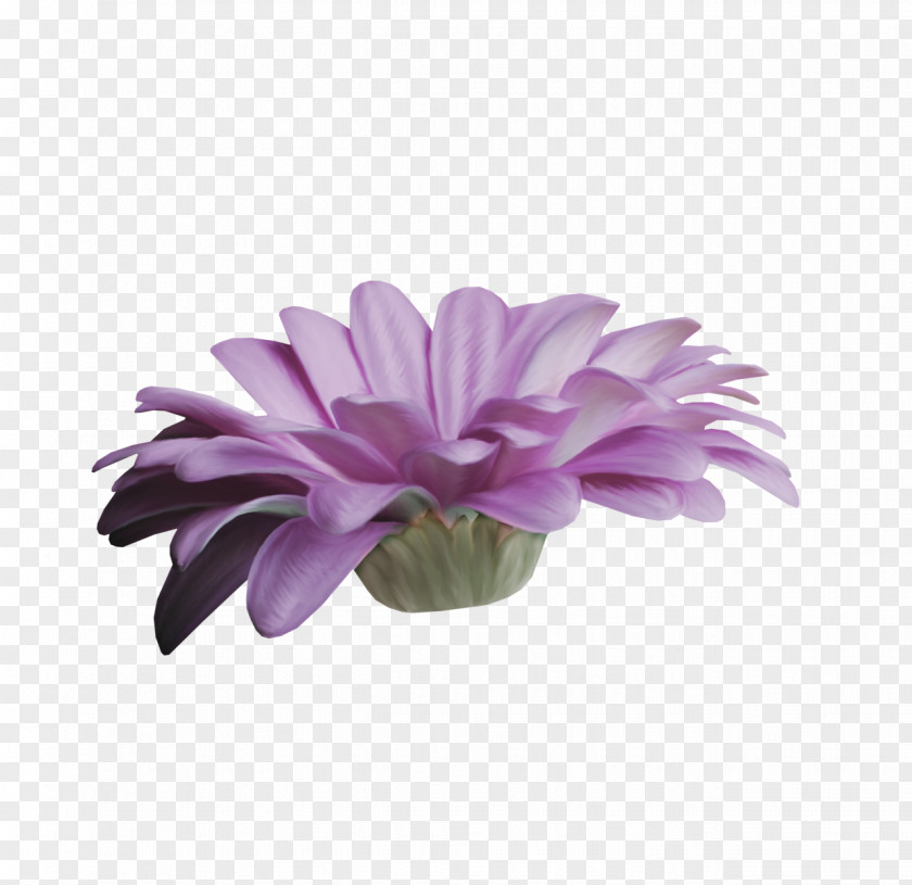 Mystique Lavender Lilac Violet Purple Flower PNG