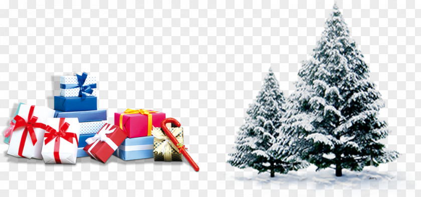 Creative Christmas Holiday Tree Poster PNG