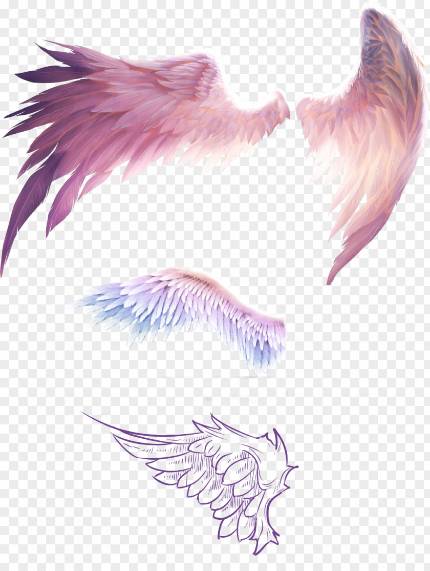 Fantasy Wings Bird Flight Wing Feather PNG