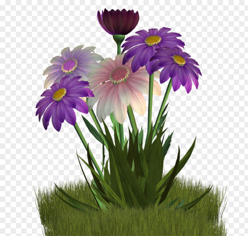 Floral Decoration Cartoon Line Drawing Flower Clip Art PNG