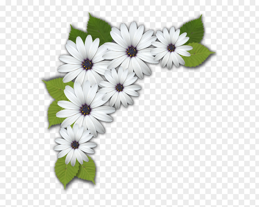 Flower Floral Design Cut Flowers Wreath Chrysanthemum PNG