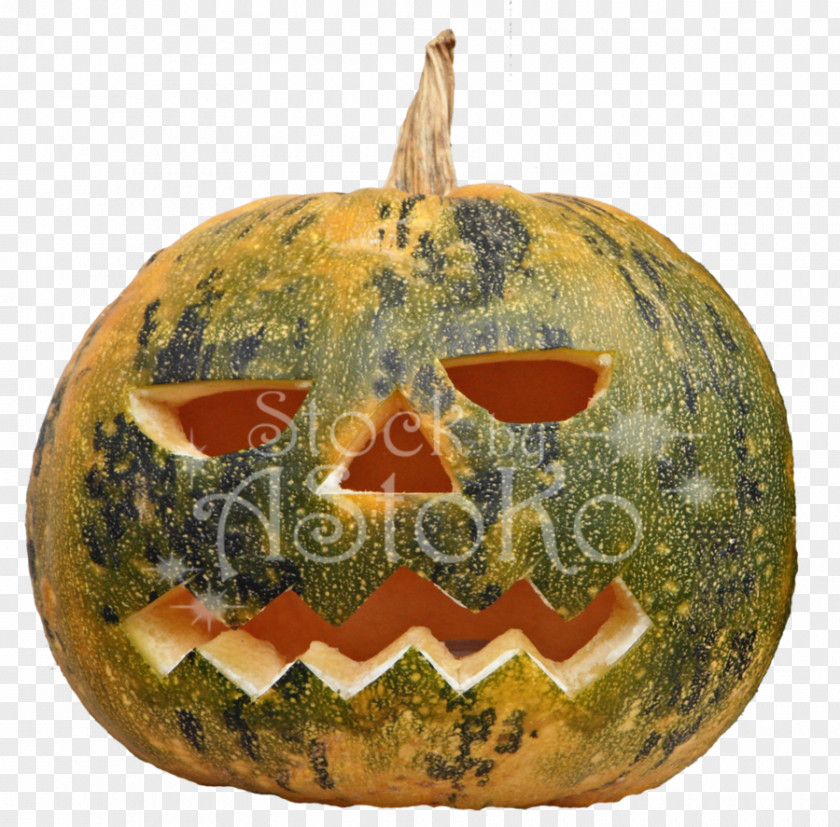 Halloween Jack-o-lantern Field Pumpkin Calabaza PNG