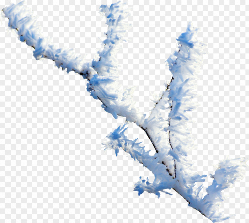 Snow Branch Twig Clip Art PNG