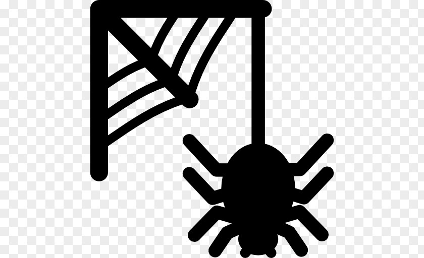Spider Cobweb Web PNG
