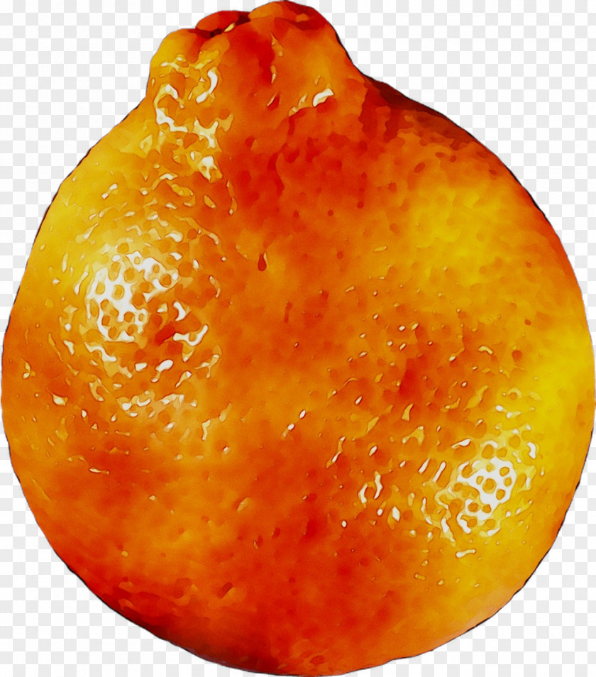 Clementine Mandarin Orange Tangerine Grapefruit Blood PNG