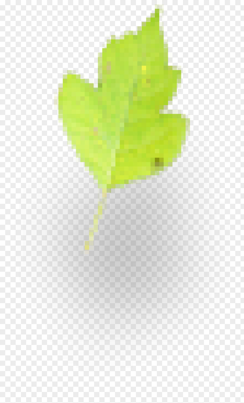 Aquatic Plants Leaf Desktop Wallpaper Computer Plant Stem PNG