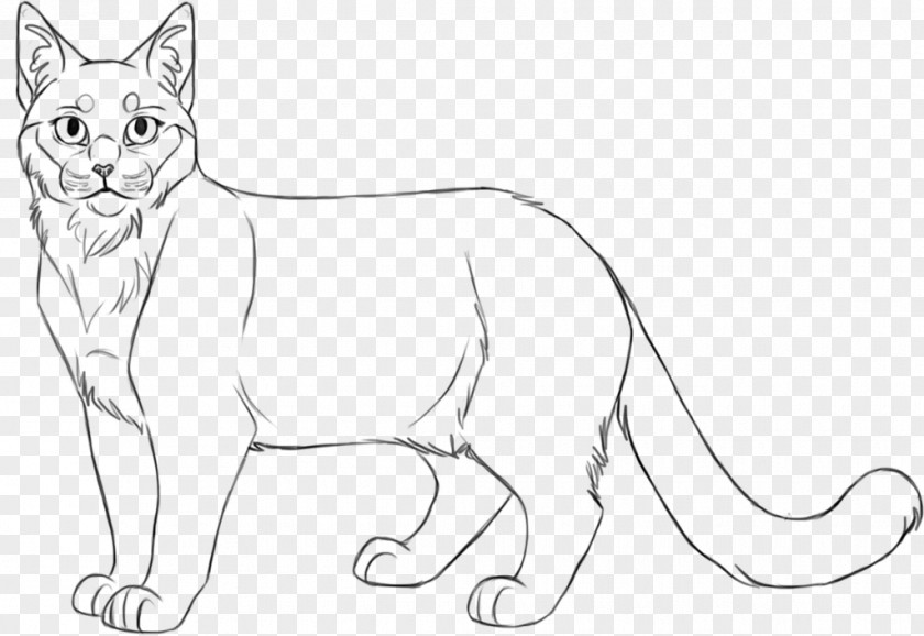Cat Whiskers Domestic Short-haired Wildcat Line Art PNG