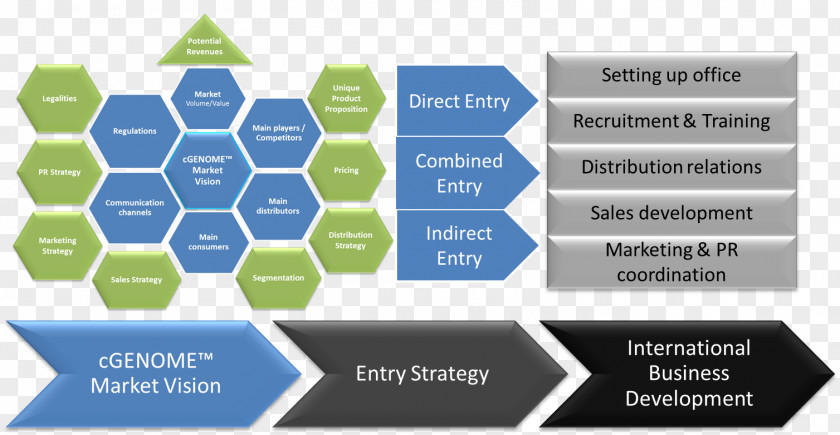 Coaching Service Go To Market Entry Strategy Marketing Plan PNG