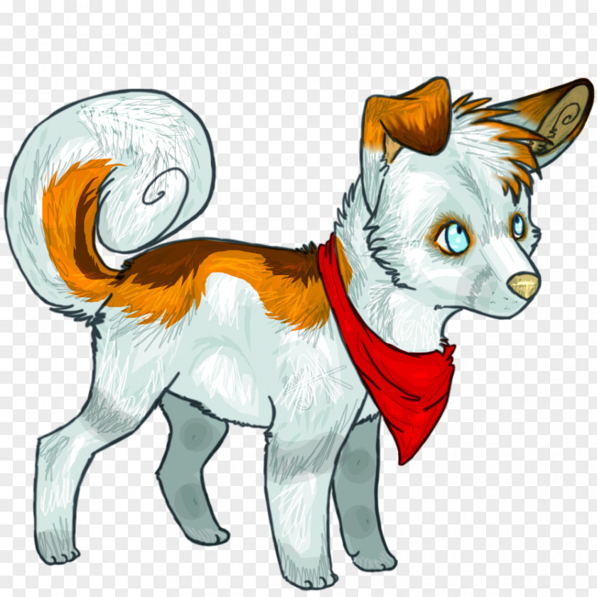 Dogs And Cats Dog Whiskers Smoothie Chicken Baby Wolves PNG