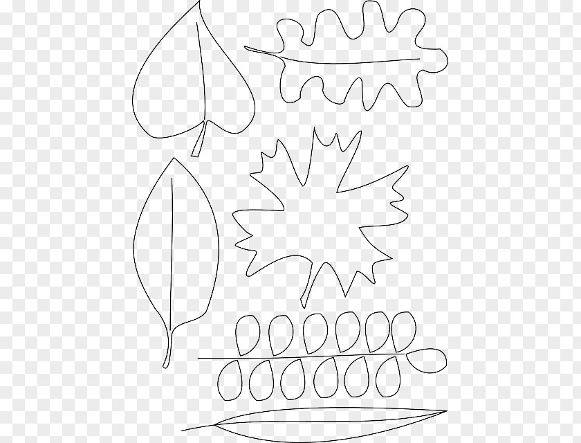 Willow Branch Coloring Page Stock.xchng Image Book Vector Graphics Autumn PNG