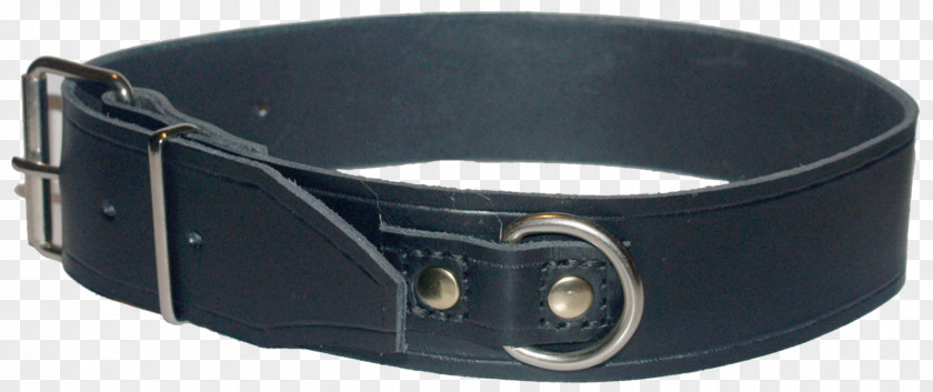 Belt Buckle Leash Strap Collar PNG