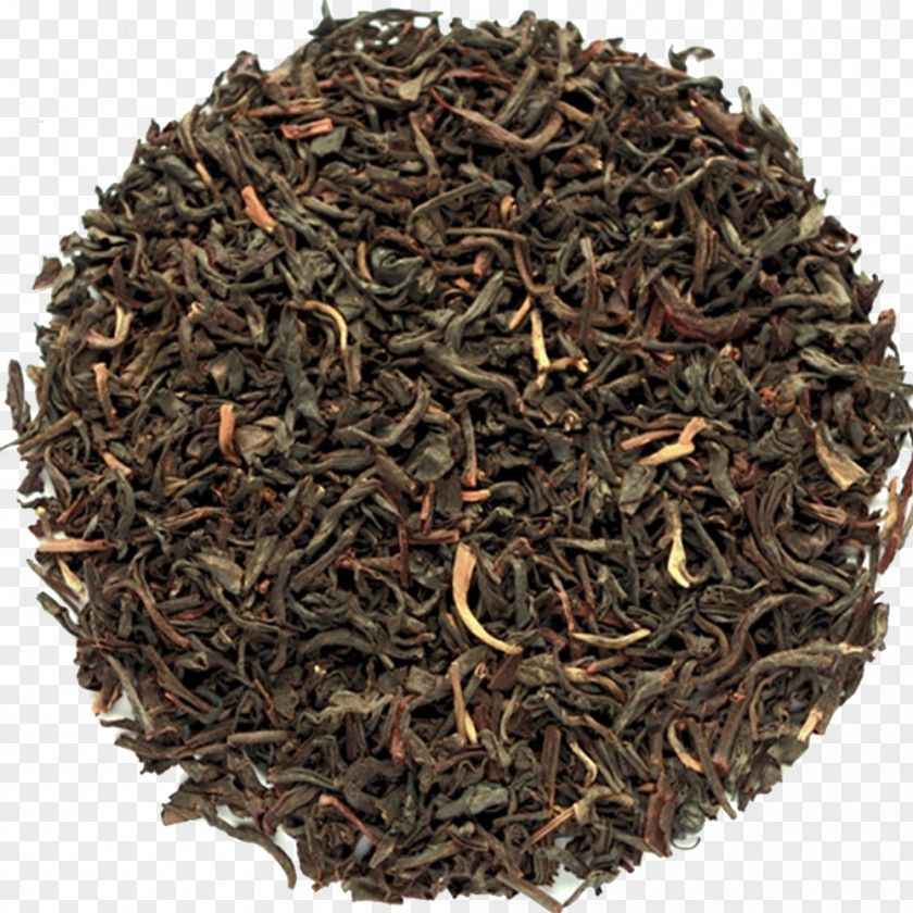 English Breakfast Oolong Darjeeling Tea Dianhong Babington's Room PNG