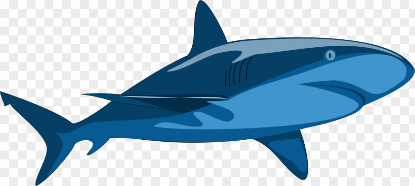 Shark Jaws Clip Art PNG