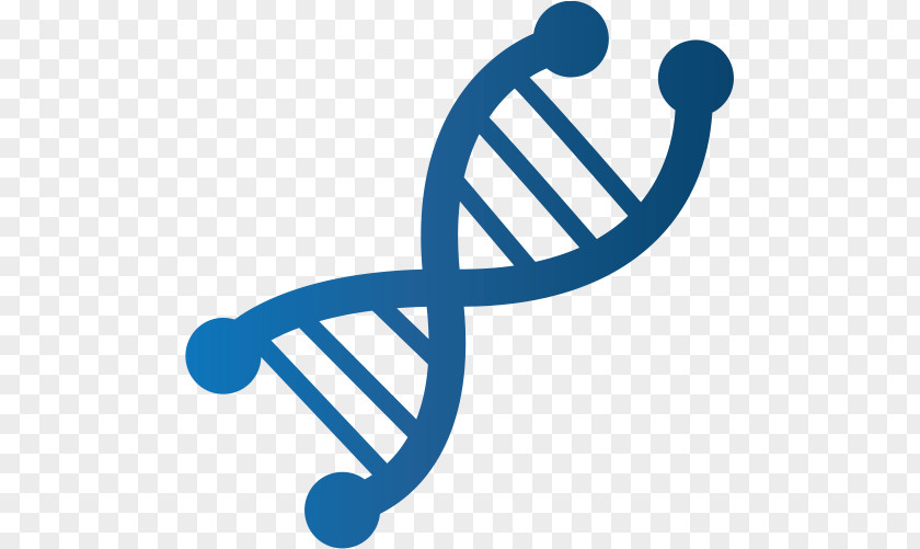 DNA The Cancer Genome Atlas Medical Diagnosis Molecular Diagnostics Genomics PNG