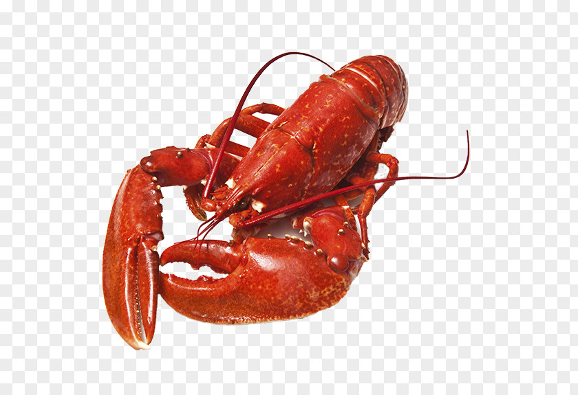 Lobster Crab Crayfish As Food Cooking Seafood PNG as food Seafood, lobsterhd clipart PNG