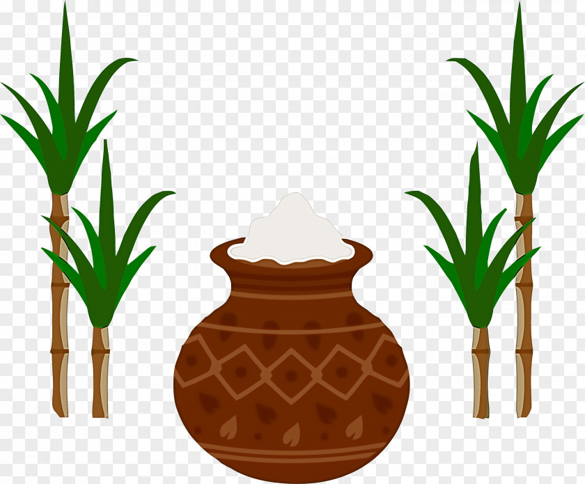 Pongal PNG