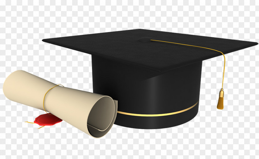 Student Academic Degree Graduation Ceremony Bachelor's Graduate University PNG